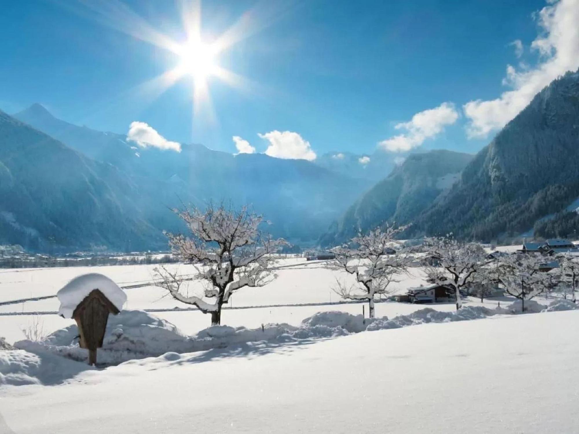 Apartment With Panoramic View Ramsau im Zillertal Exteriör bild