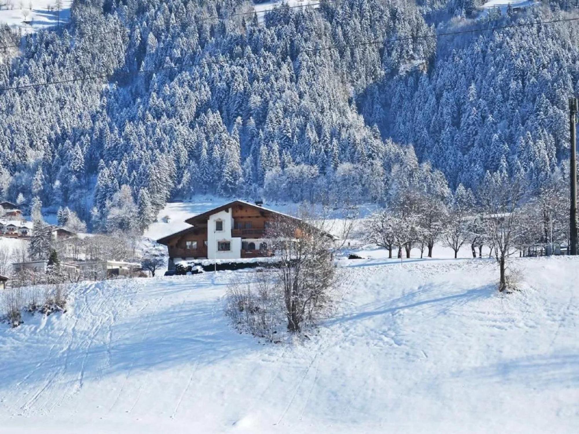 Apartment With Panoramic View Ramsau im Zillertal Exteriör bild